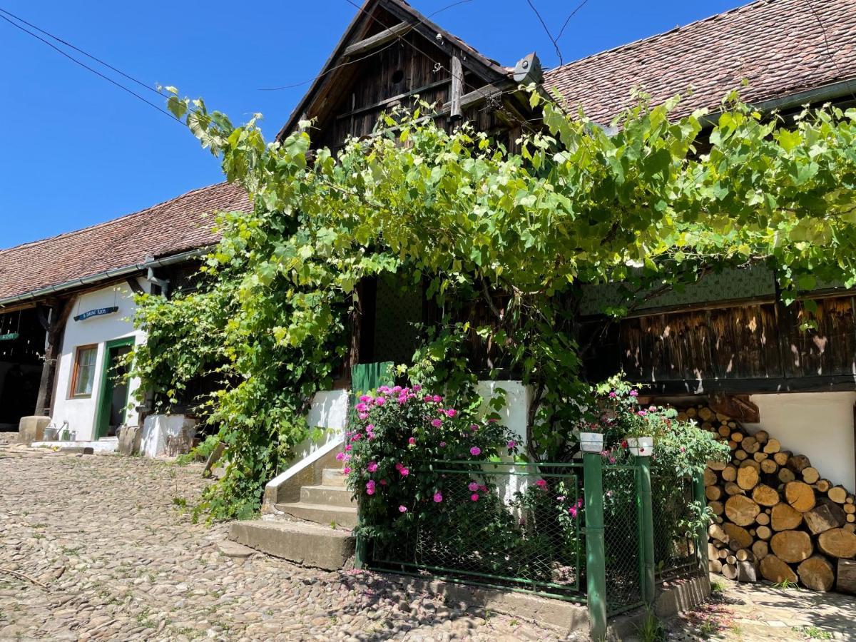 Saschiz 130/Lodging And Glamping Ngoại thất bức ảnh