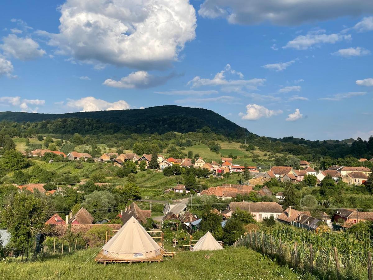 Saschiz 130/Lodging And Glamping Ngoại thất bức ảnh