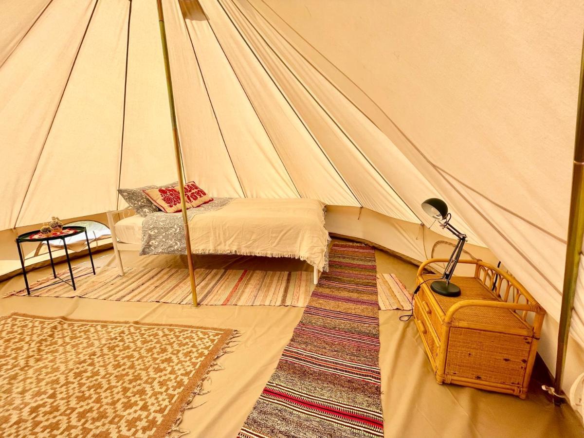 Saschiz 130/Lodging And Glamping Ngoại thất bức ảnh