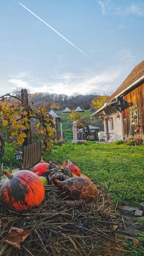 Saschiz 130/Lodging And Glamping Ngoại thất bức ảnh