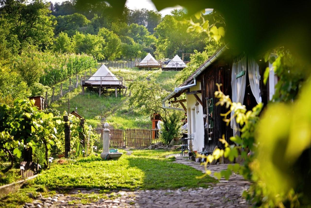Saschiz 130/Lodging And Glamping Ngoại thất bức ảnh